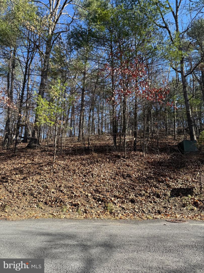 SUSAN RD, MT JACKSON, Virginia 22842, ,Land,For sale,SUSAN RD,VASH2013070 MLS # VASH2013070 SUSAN RD, MT JACKSON, Virginia 22842, ,Land,For sale,SUSAN RD,VASH2013070 MLS # VASH2013070