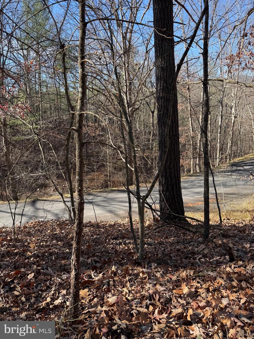 SUSAN RD, MT JACKSON, Virginia 22842, ,Land,For sale,SUSAN RD,VASH2013070 MLS # VASH2013070 SUSAN RD, MT JACKSON, Virginia 22842, ,Land,For sale,SUSAN RD,VASH2013070 MLS # VASH2013070