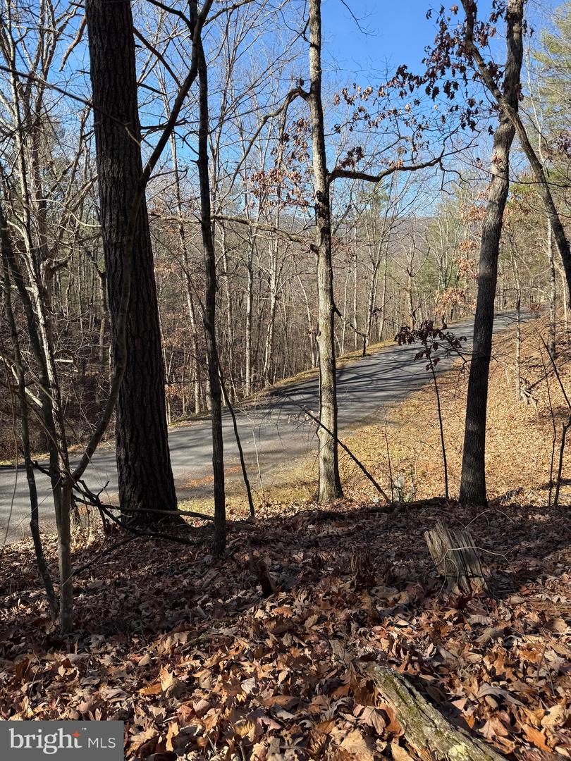 SUSAN RD, MT JACKSON, Virginia 22842, ,Land,For sale,SUSAN RD,VASH2013070 MLS # VASH2013070 SUSAN RD, MT JACKSON, Virginia 22842, ,Land,For sale,SUSAN RD,VASH2013070 MLS # VASH2013070