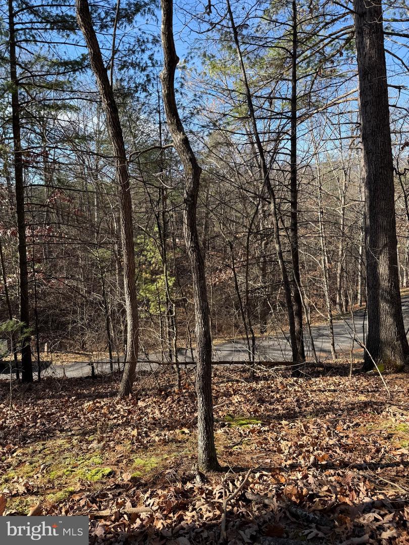 SUSAN RD, MT JACKSON, Virginia 22842, ,Land,For sale,SUSAN RD,VASH2013070 MLS # VASH2013070 SUSAN RD, MT JACKSON, Virginia 22842, ,Land,For sale,SUSAN RD,VASH2013070 MLS # VASH2013070