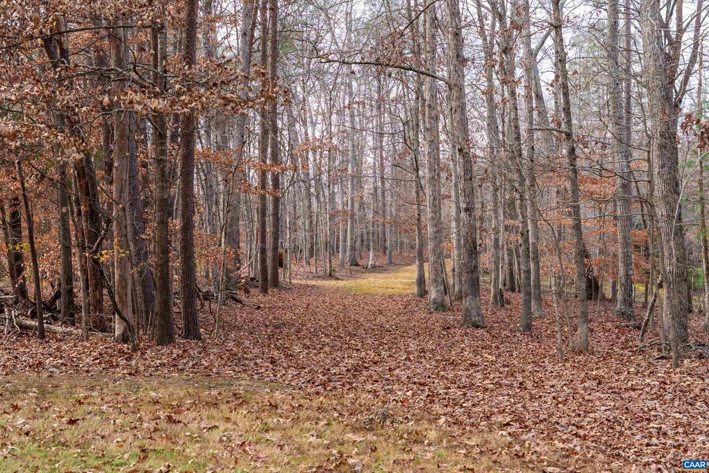 LOT 34 KESWICK LN #34, KESWICK, Virginia 22947, ,Land,For sale,LOT 34 KESWICK LN #34,671396 MLS # 671396