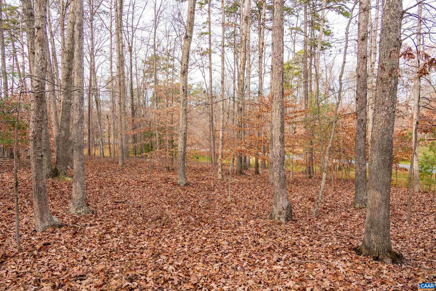 LOT 34 KESWICK LN #34, KESWICK, Virginia 22947, ,Land,For sale,LOT 34 KESWICK LN #34,671396 MLS # 671396