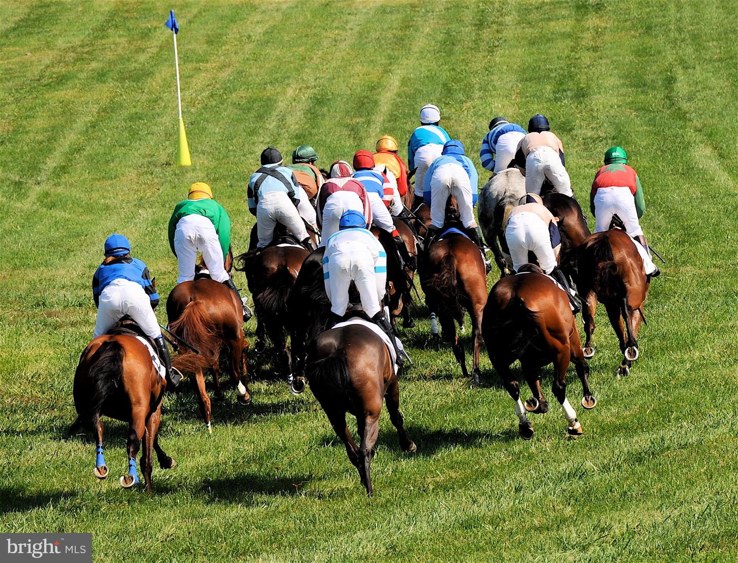 35771 SNAKE HILL RD, MIDDLEBURG, Virginia 20117, 3 Bedrooms Bedrooms, ,4 BathroomsBathrooms,Residential,For sale,35771 SNAKE HILL RD,VALO2106308 MLS # VALO2106308