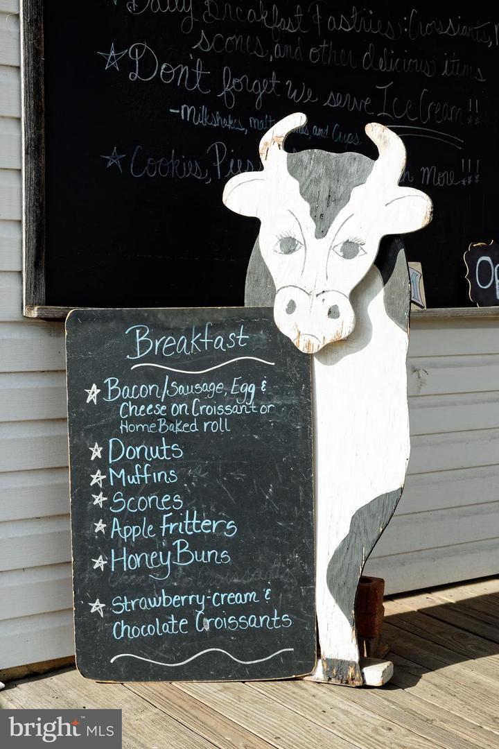 35771 SNAKE HILL RD, MIDDLEBURG, Virginia 20117, 3 Bedrooms Bedrooms, ,4 BathroomsBathrooms,Residential,For sale,35771 SNAKE HILL RD,VALO2106308 MLS # VALO2106308