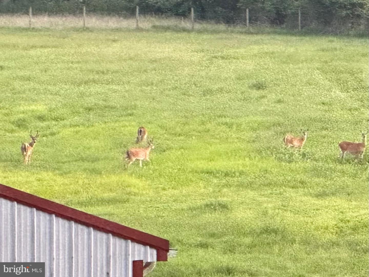 FREDERICKSBURG, Virginia 22406, 4 Bedrooms Bedrooms, ,2 BathroomsBathrooms,Residential,For sale,VAST2041382 MLS # VAST2041382