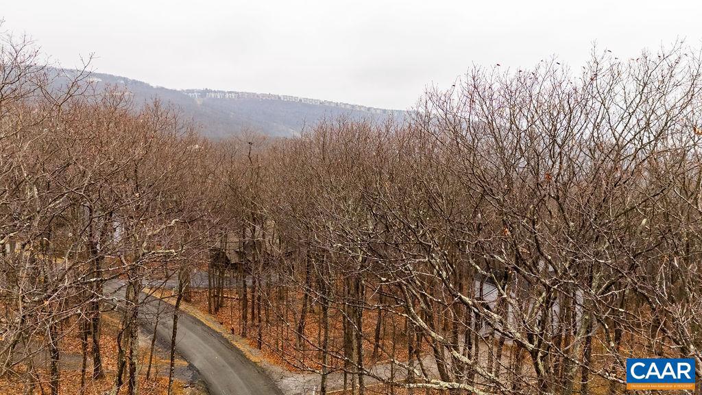 23 NORTH ROCK TREE LN #125 PEDLARS EDGE SUB, WINTERGREEN RESORT, Virginia 22967, ,Land,For sale,23 NORTH ROCK TREE LN #125 PEDLARS EDGE SUB,671412 MLS # 671412 23 NORTH ROCK TREE LN #125 PEDLARS EDGE SUB, WINTERGREEN RESORT, Virginia 22967, ,Land,For sale,23 NORTH ROCK TREE LN #125 PEDLARS EDGE SUB,671412 MLS # 671412