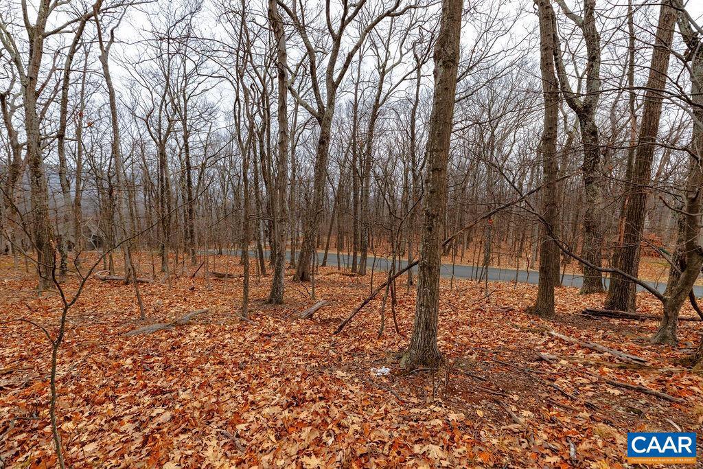 23 NORTH ROCK TREE LN #125 PEDLARS EDGE SUB, WINTERGREEN RESORT, Virginia 22967, ,Land,For sale,23 NORTH ROCK TREE LN #125 PEDLARS EDGE SUB,671412 MLS # 671412 23 NORTH ROCK TREE LN #125 PEDLARS EDGE SUB, WINTERGREEN RESORT, Virginia 22967, ,Land,For sale,23 NORTH ROCK TREE LN #125 PEDLARS EDGE SUB,671412 MLS # 671412