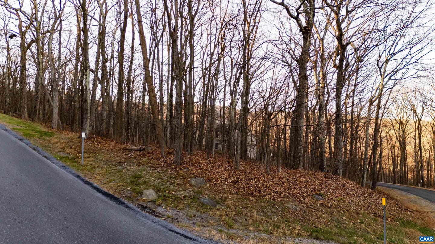 23 NORTH ROCK TREE LN #125 PEDLARS EDGE SUB, WINTERGREEN RESORT, Virginia 22967, ,Land,For sale,23 NORTH ROCK TREE LN #125 PEDLARS EDGE SUB,671412 MLS # 671412 23 NORTH ROCK TREE LN #125 PEDLARS EDGE SUB, WINTERGREEN RESORT, Virginia 22967, ,Land,For sale,23 NORTH ROCK TREE LN #125 PEDLARS EDGE SUB,671412 MLS # 671412