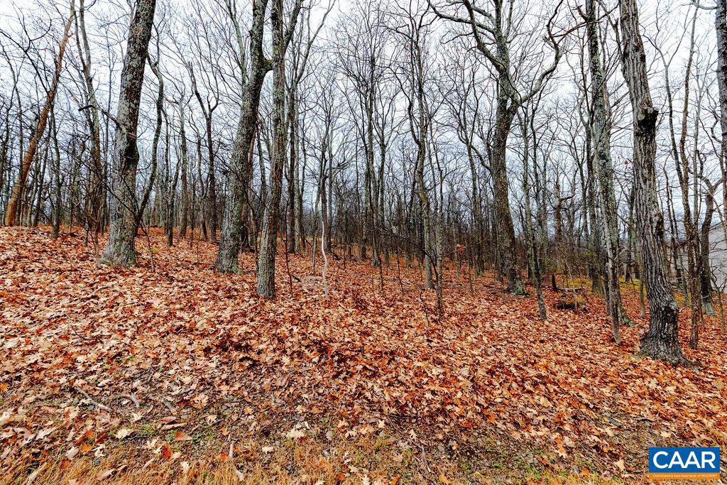 23 NORTH ROCK TREE LN #125 PEDLARS EDGE SUB, WINTERGREEN RESORT, Virginia 22967, ,Land,For sale,23 NORTH ROCK TREE LN #125 PEDLARS EDGE SUB,671412 MLS # 671412 23 NORTH ROCK TREE LN #125 PEDLARS EDGE SUB, WINTERGREEN RESORT, Virginia 22967, ,Land,For sale,23 NORTH ROCK TREE LN #125 PEDLARS EDGE SUB,671412 MLS # 671412