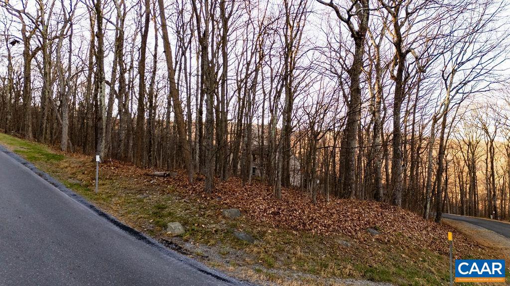 23 NORTH ROCK TREE LN #125 PEDLARS EDGE SUB, WINTERGREEN RESORT, Virginia 22967, ,Land,For sale,23 NORTH ROCK TREE LN #125 PEDLARS EDGE SUB,671412 MLS # 671412 23 NORTH ROCK TREE LN #125 PEDLARS EDGE SUB, WINTERGREEN RESORT, Virginia 22967, ,Land,For sale,23 NORTH ROCK TREE LN #125 PEDLARS EDGE SUB,671412 MLS # 671412