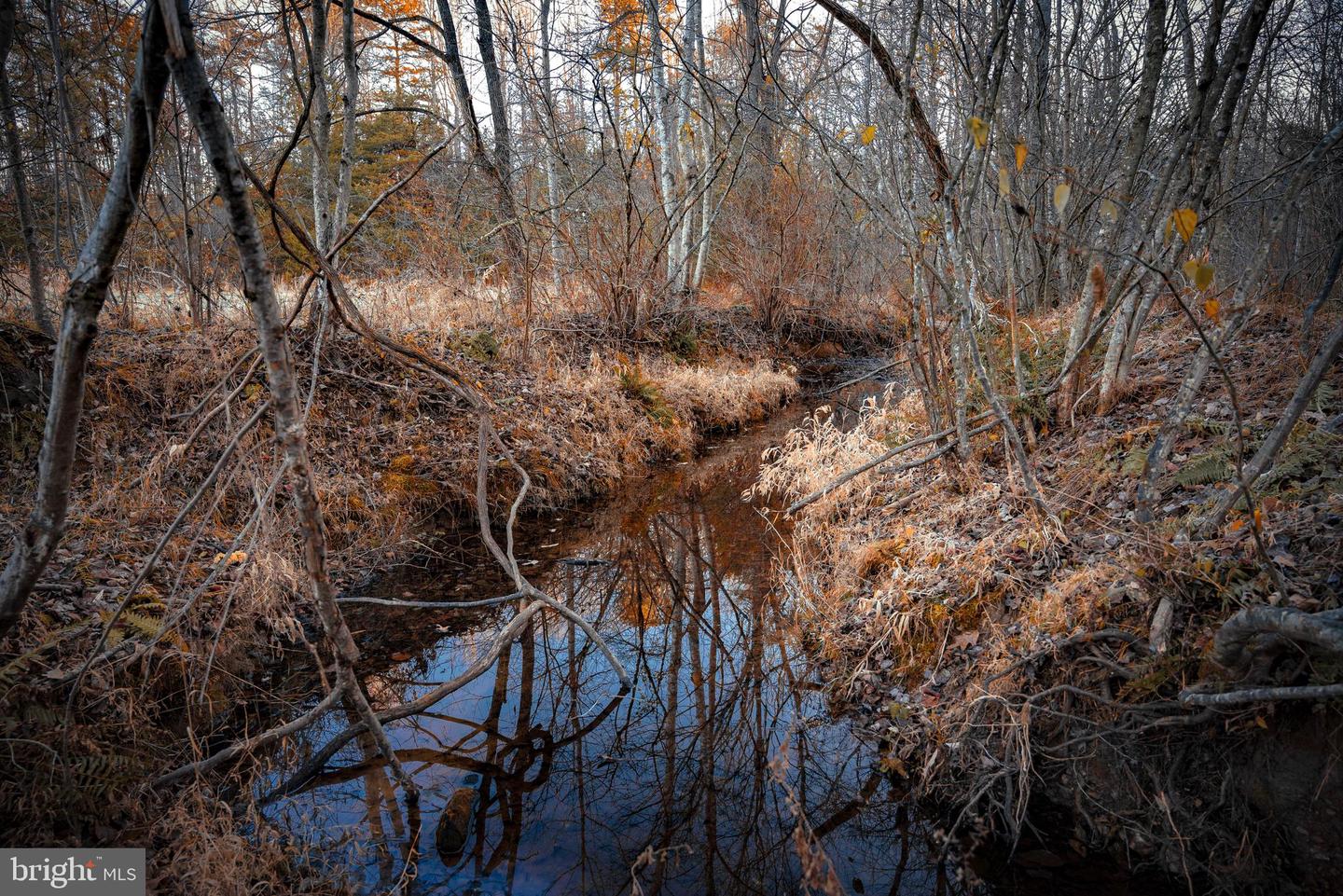 TBD ZACHARY TAYLOR HWY, UNIONVILLE, Virginia 22567, ,Land,For sale,TBD ZACHARY TAYLOR HWY,VAOR2012850 MLS # VAOR2012850