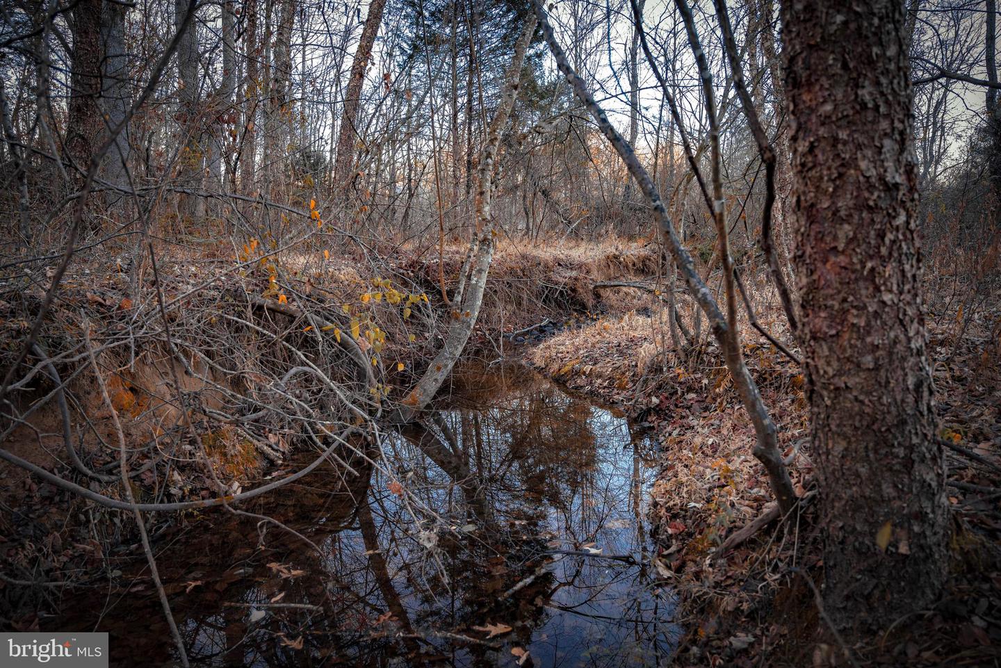 TBD ZACHARY TAYLOR HWY, UNIONVILLE, Virginia 22567, ,Land,For sale,TBD ZACHARY TAYLOR HWY,VAOR2012850 MLS # VAOR2012850