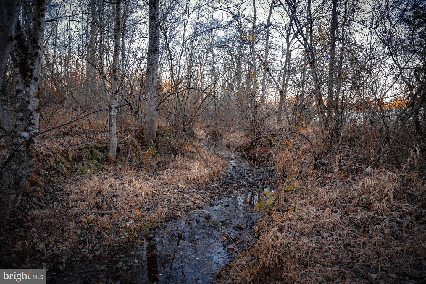 TBD ZACHARY TAYLOR HWY, UNIONVILLE, Virginia 22567, ,Land,For sale,TBD ZACHARY TAYLOR HWY,VAOR2012850 MLS # VAOR2012850