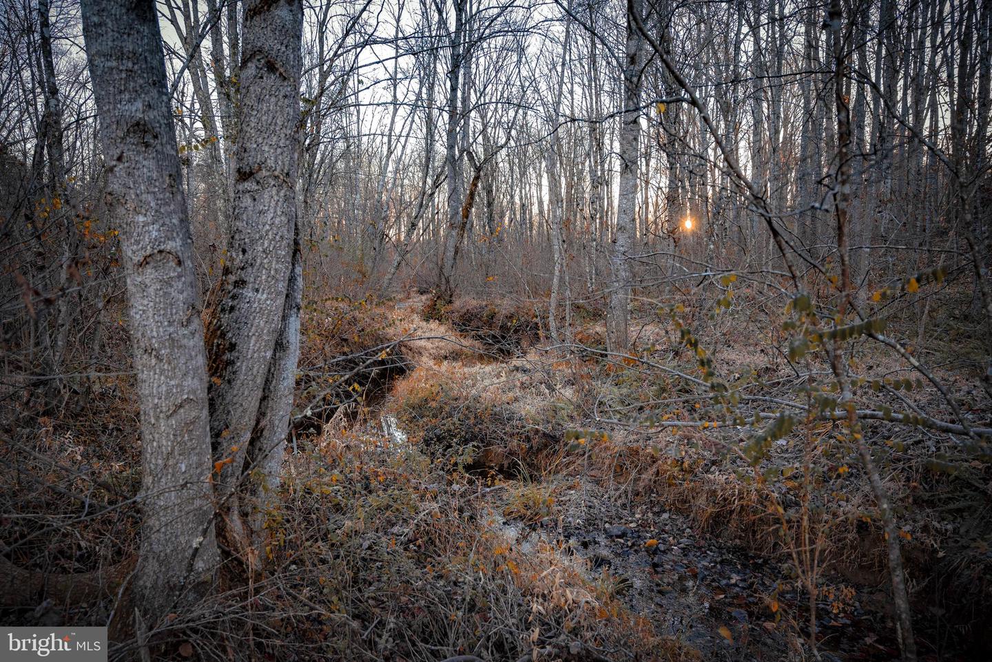 TBD ZACHARY TAYLOR HWY, UNIONVILLE, Virginia 22567, ,Land,For sale,TBD ZACHARY TAYLOR HWY,VAOR2012850 MLS # VAOR2012850