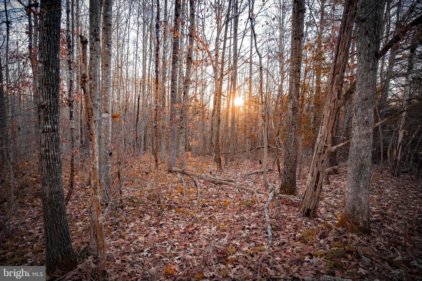 TBD ZACHARY TAYLOR HWY, UNIONVILLE, Virginia 22567, ,Land,For sale,TBD ZACHARY TAYLOR HWY,VAOR2012850 MLS # VAOR2012850