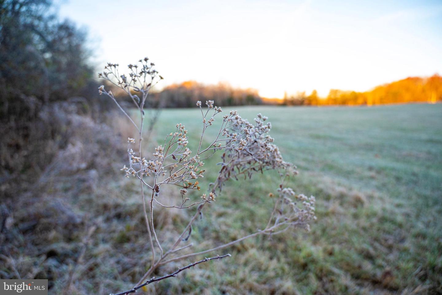 TBD ZACHARY TAYLOR HWY, UNIONVILLE, Virginia 22567, ,Land,For sale,TBD ZACHARY TAYLOR HWY,VAOR2012850 MLS # VAOR2012850