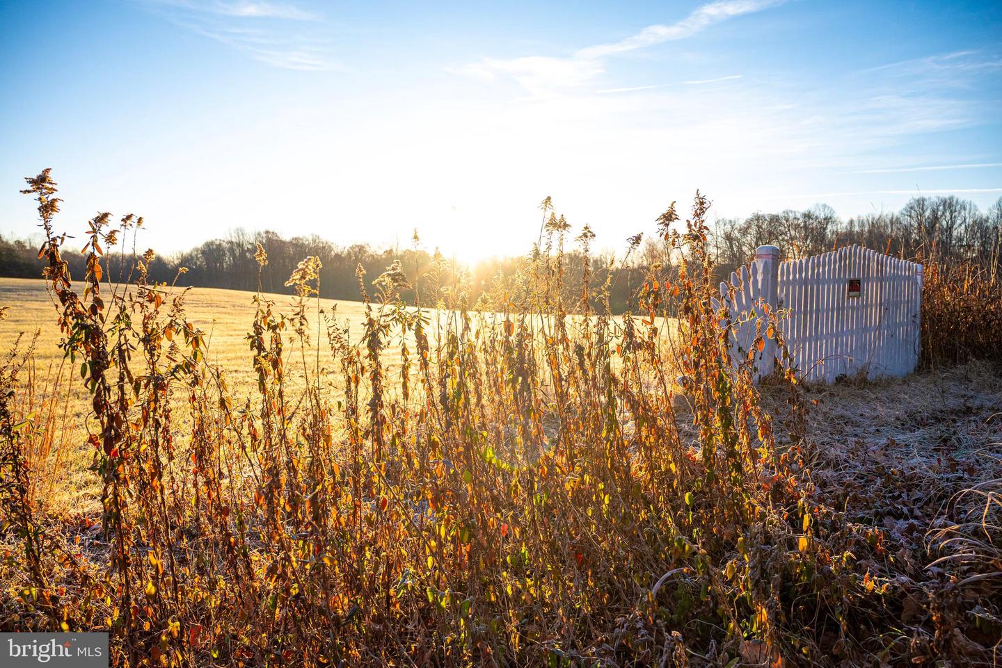 TBD ZACHARY TAYLOR HWY, UNIONVILLE, Virginia 22567, ,Land,For sale,TBD ZACHARY TAYLOR HWY,VAOR2012850 MLS # VAOR2012850