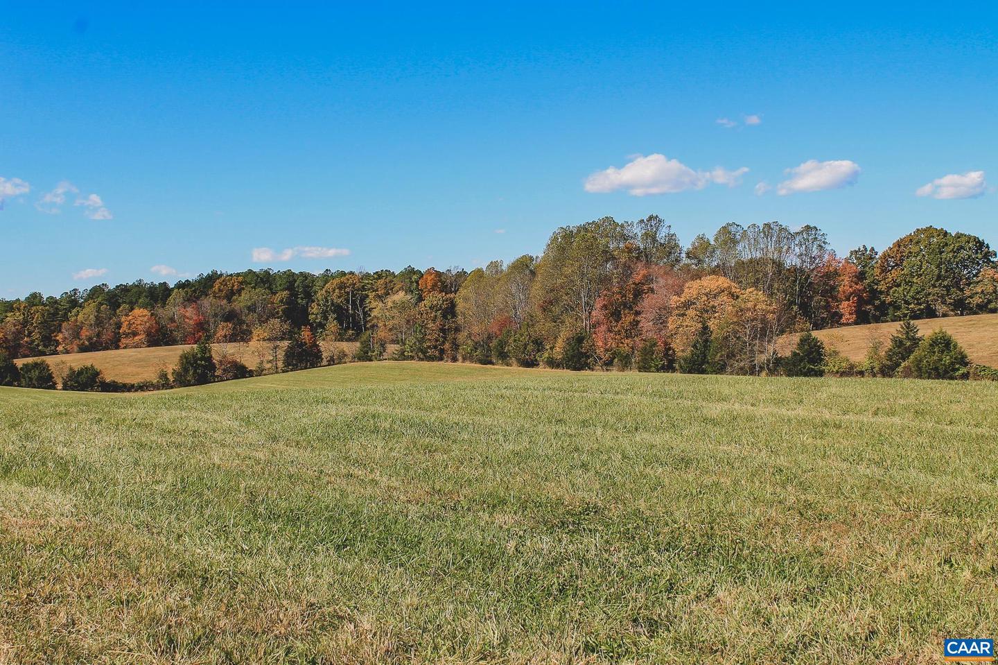 LOT 13 BRIERY CREEK RD, SCOTTSVILLE, Virginia 24590, ,Land,For sale,LOT 13 BRIERY CREEK RD,671416 MLS # 671416 LOT 13 BRIERY CREEK RD, SCOTTSVILLE, Virginia 24590, ,Land,For sale,LOT 13 BRIERY CREEK RD,671416 MLS # 671416