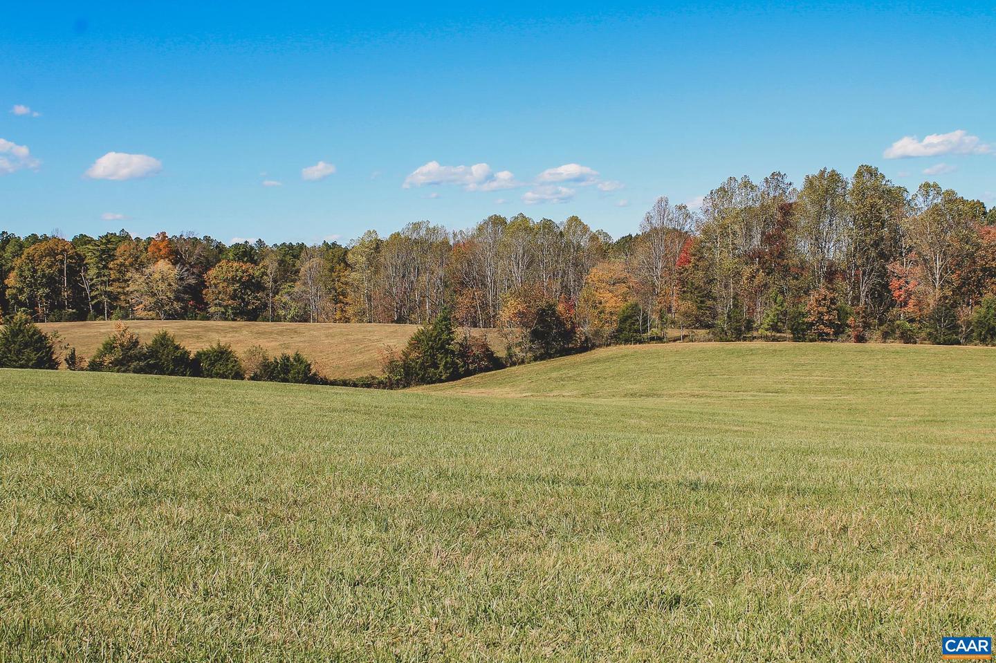 LOT 13 BRIERY CREEK RD, SCOTTSVILLE, Virginia 24590, ,Land,For sale,LOT 13 BRIERY CREEK RD,671416 MLS # 671416 LOT 13 BRIERY CREEK RD, SCOTTSVILLE, Virginia 24590, ,Land,For sale,LOT 13 BRIERY CREEK RD,671416 MLS # 671416