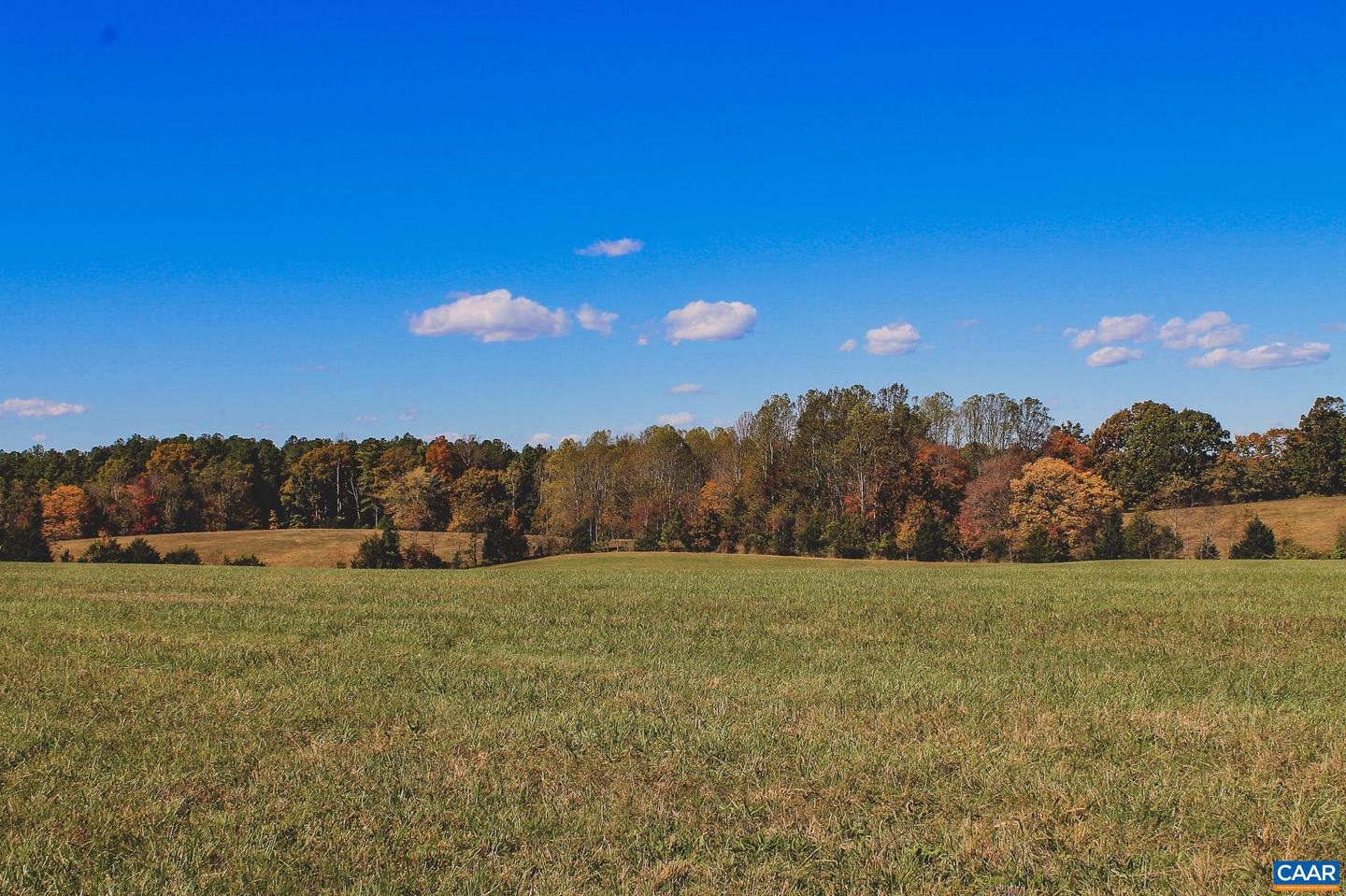 LOT 13 BRIERY CREEK RD, SCOTTSVILLE, Virginia 24590, ,Land,For sale,LOT 13 BRIERY CREEK RD,671416 MLS # 671416 LOT 13 BRIERY CREEK RD, SCOTTSVILLE, Virginia 24590, ,Land,For sale,LOT 13 BRIERY CREEK RD,671416 MLS # 671416