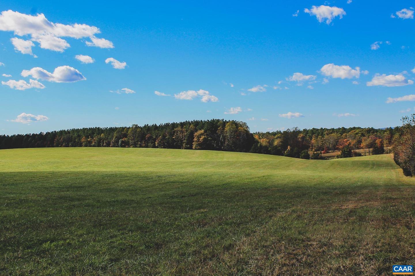 LOT 13 BRIERY CREEK RD, SCOTTSVILLE, Virginia 24590, ,Land,For sale,LOT 13 BRIERY CREEK RD,671416 MLS # 671416 LOT 13 BRIERY CREEK RD, SCOTTSVILLE, Virginia 24590, ,Land,For sale,LOT 13 BRIERY CREEK RD,671416 MLS # 671416