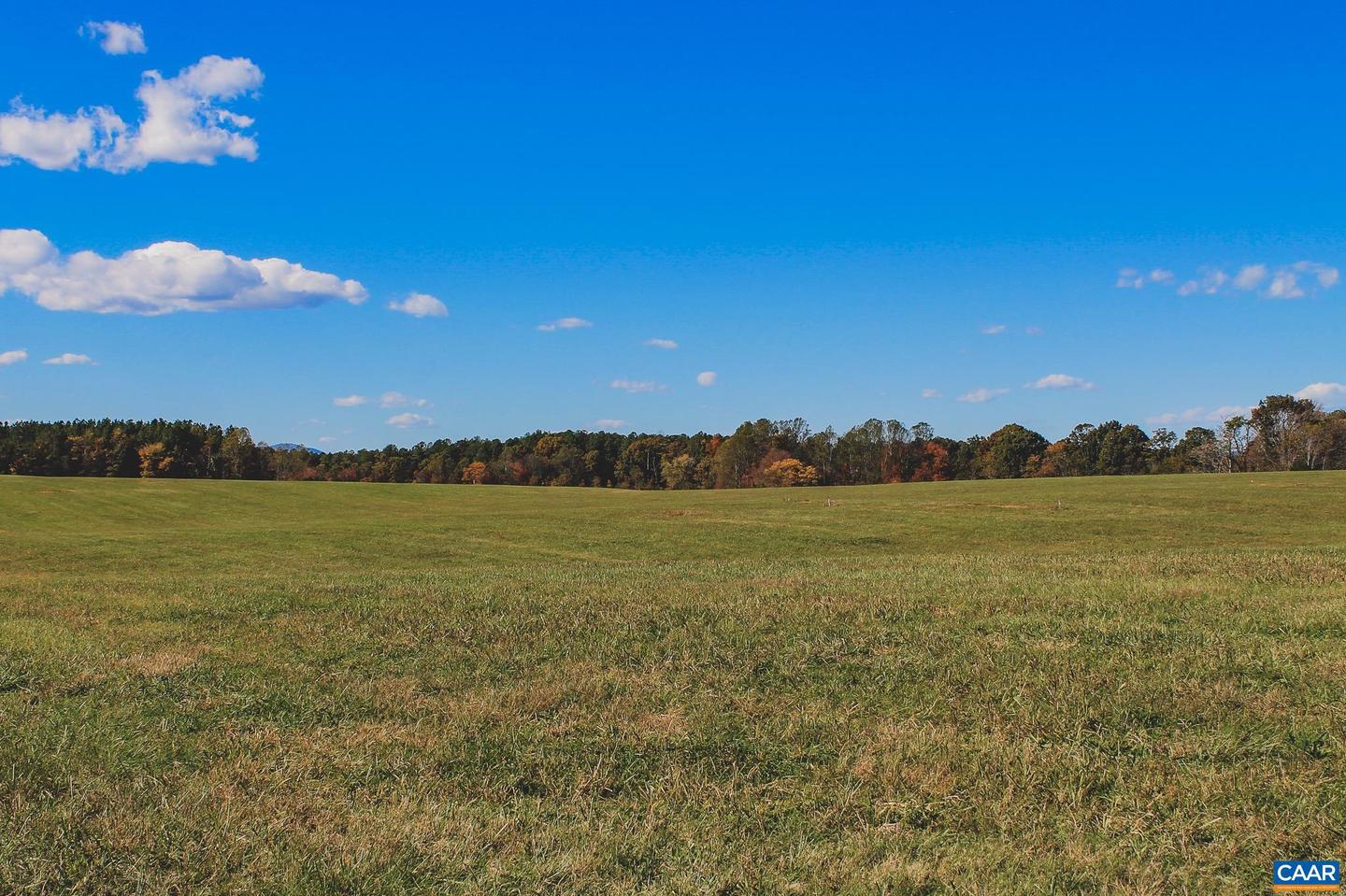 LOT 13 BRIERY CREEK RD, SCOTTSVILLE, Virginia 24590, ,Land,For sale,LOT 13 BRIERY CREEK RD,671416 MLS # 671416 LOT 13 BRIERY CREEK RD, SCOTTSVILLE, Virginia 24590, ,Land,For sale,LOT 13 BRIERY CREEK RD,671416 MLS # 671416