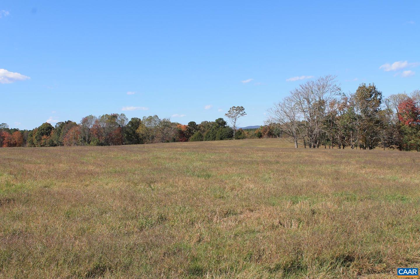 LOT 13 BRIERY CREEK RD, SCOTTSVILLE, Virginia 24590, ,Land,For sale,LOT 13 BRIERY CREEK RD,671416 MLS # 671416 LOT 13 BRIERY CREEK RD, SCOTTSVILLE, Virginia 24590, ,Land,For sale,LOT 13 BRIERY CREEK RD,671416 MLS # 671416