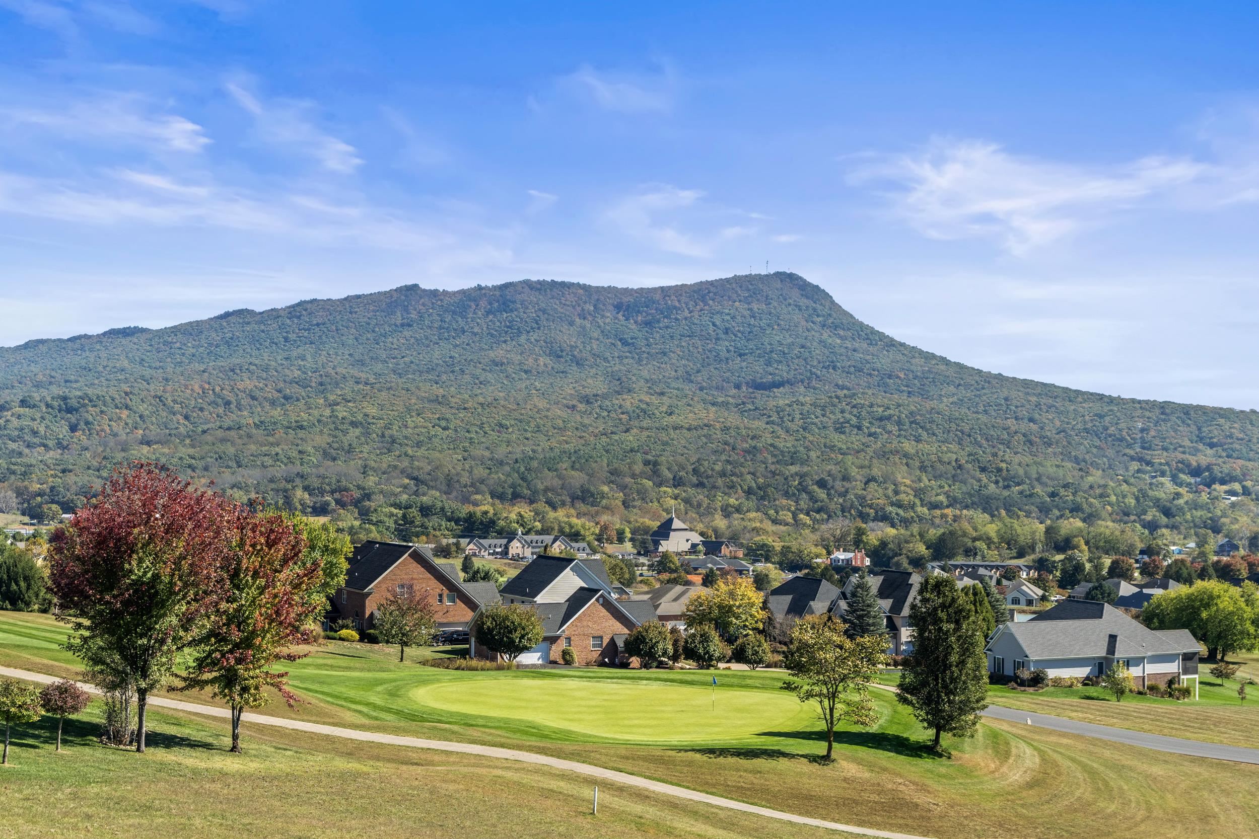 115 FLYNTSHIRE PL, ROCKINGHAM, Virginia 22801, 4 Bedrooms Bedrooms, ,2 BathroomsBathrooms,Residential,115 FLYNTSHIRE PL,670208 MLS # 670208 115 FLYNTSHIRE PL, ROCKINGHAM, Virginia 22801, 4 Bedrooms Bedrooms, ,2 BathroomsBathrooms,Residential,115 FLYNTSHIRE PL,670208 MLS # 670208