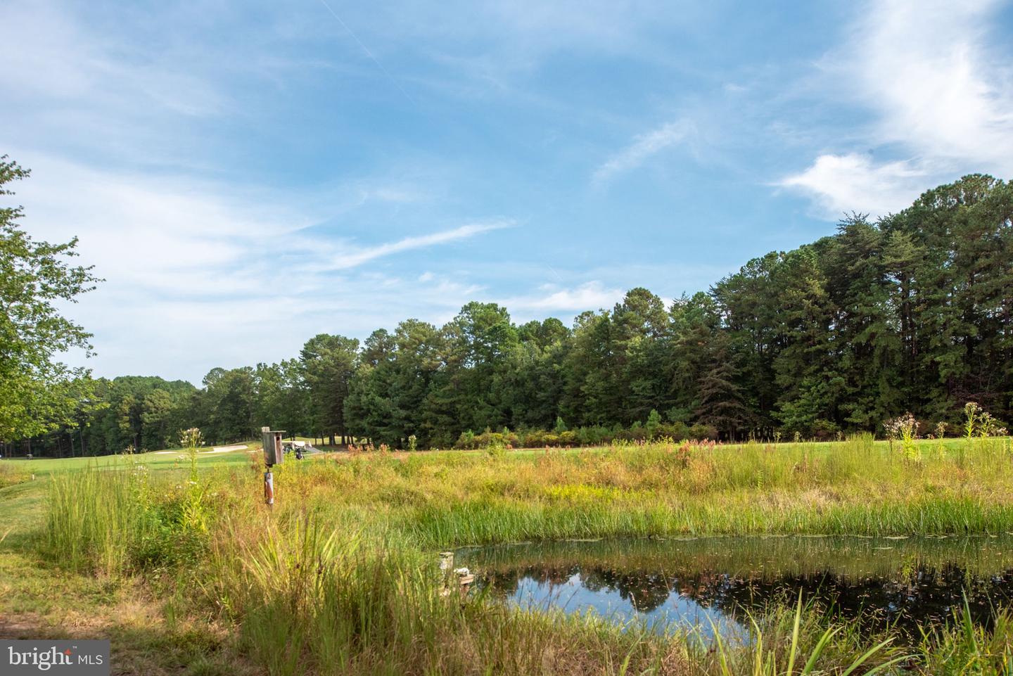 11004 SHERIDAN DR, SPOTSYLVANIA, Virginia 22551, 5 Bedrooms Bedrooms, ,5 BathroomsBathrooms,Residential,For sale,11004 SHERIDAN DR,VASP2036778 MLS # VASP2036778 11004 SHERIDAN DR, SPOTSYLVANIA, Virginia 22551, 5 Bedrooms Bedrooms, ,5 BathroomsBathrooms,Residential,For sale,11004 SHERIDAN DR,VASP2036778 MLS # VASP2036778