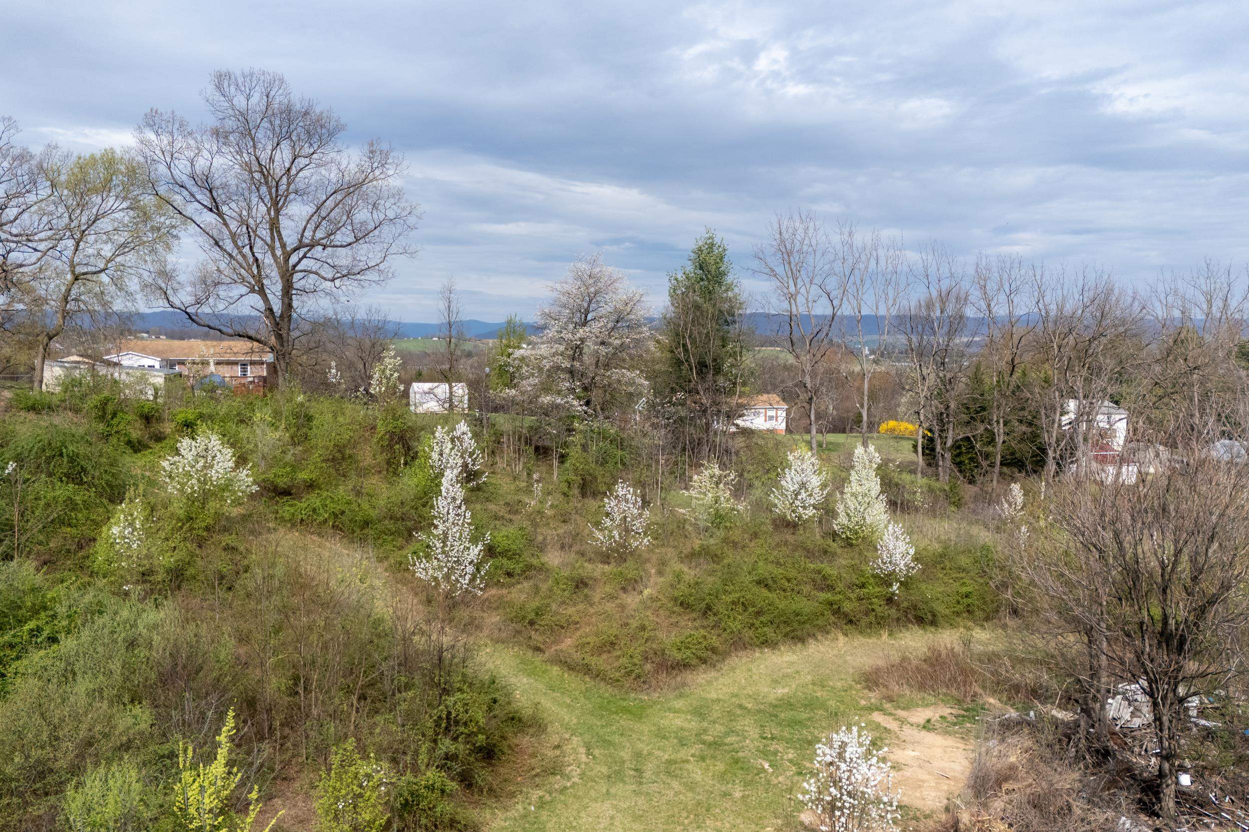 12039 HUPP RD, BROADWAY, Virginia 22815, ,Land,12039 HUPP RD,662669 MLS # 662669