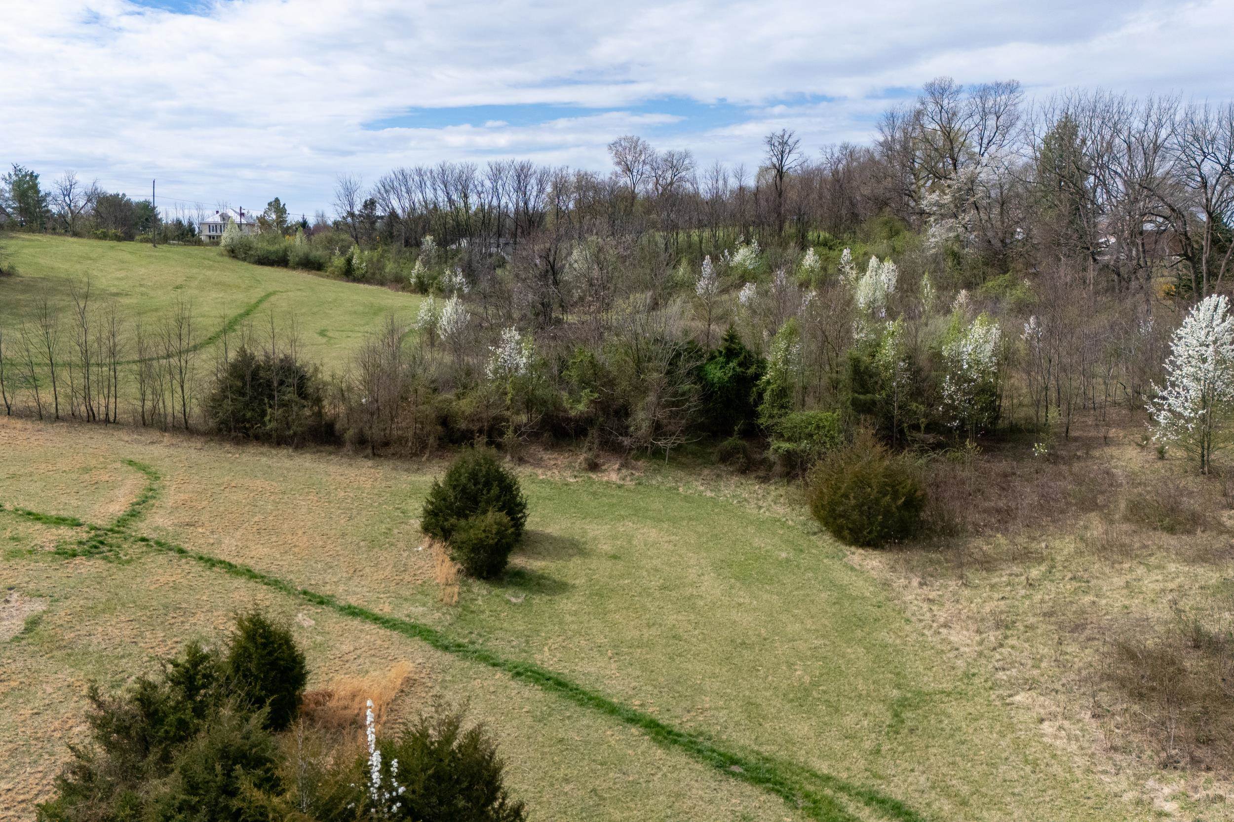 12039 HUPP RD, BROADWAY, Virginia 22815, ,Land,12039 HUPP RD,662669 MLS # 662669