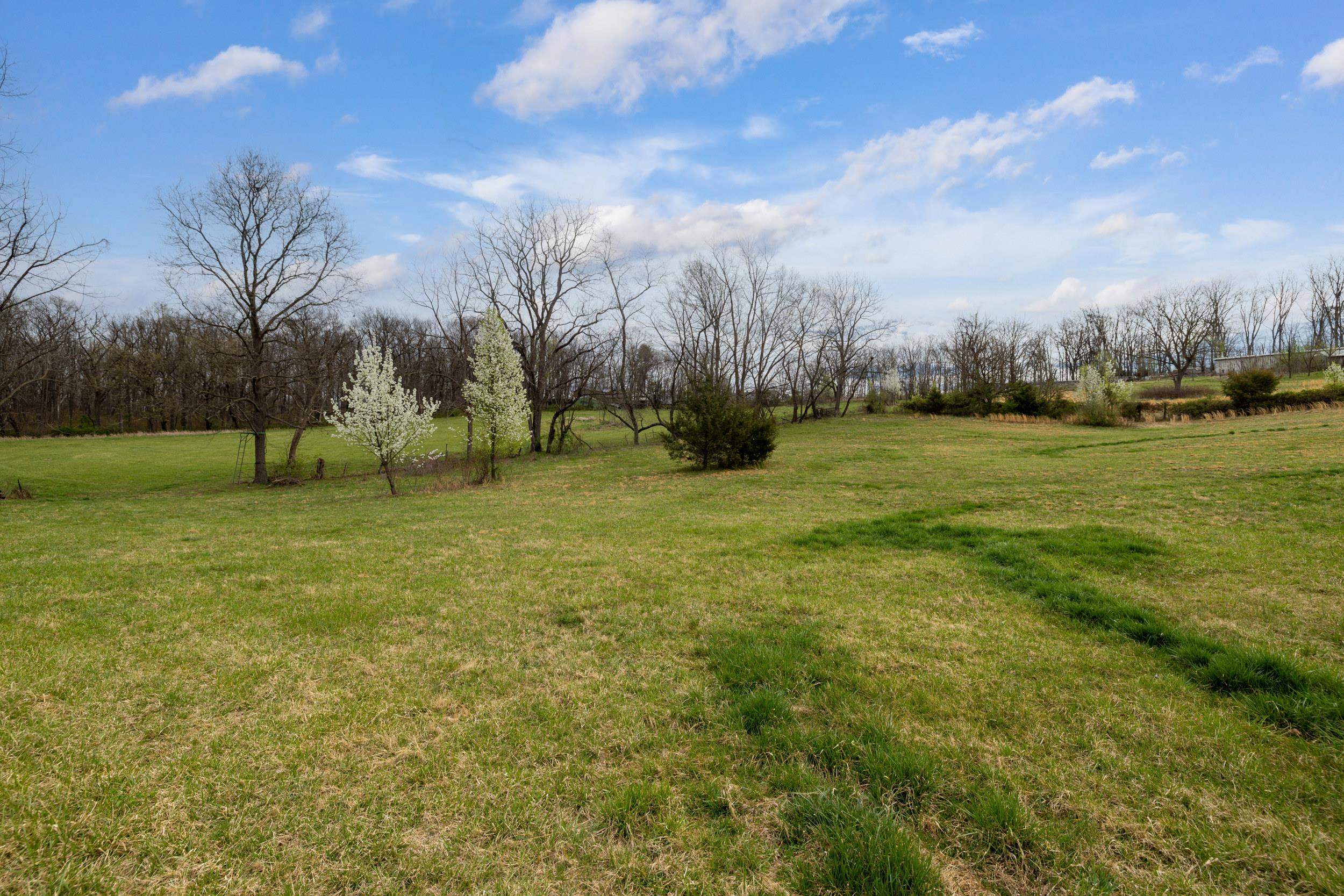 12039 HUPP RD, BROADWAY, Virginia 22815, ,Land,12039 HUPP RD,662669 MLS # 662669