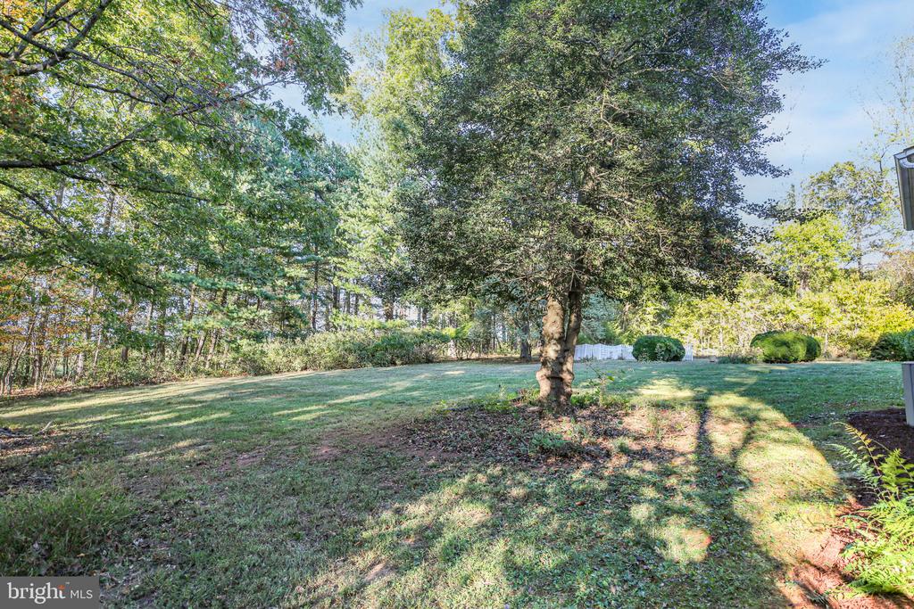 13880 RIDGELEA AVE, CULPEPER, Virginia 22701, 4 Bedrooms Bedrooms, ,2 BathroomsBathrooms,Residential,13880 RIDGELEA AVE,VACU2011994 MLS # VACU2011994