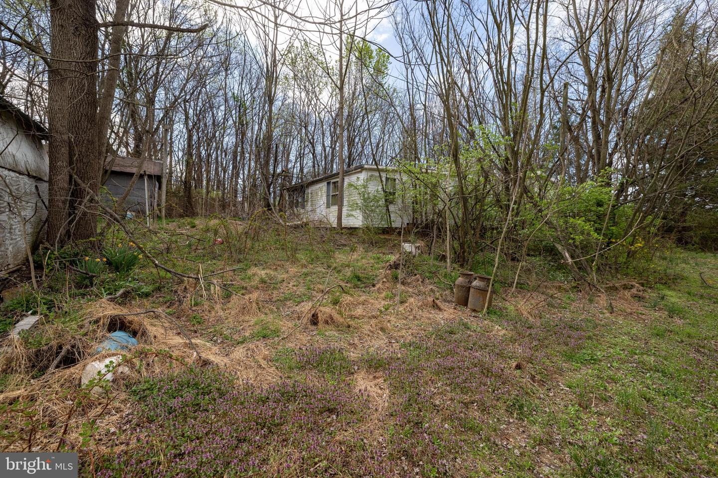 12039 HUPP RD, BROADWAY, Virginia 22815, ,Land,For sale,12039 HUPP RD,VARO2002140 MLS # VARO2002140