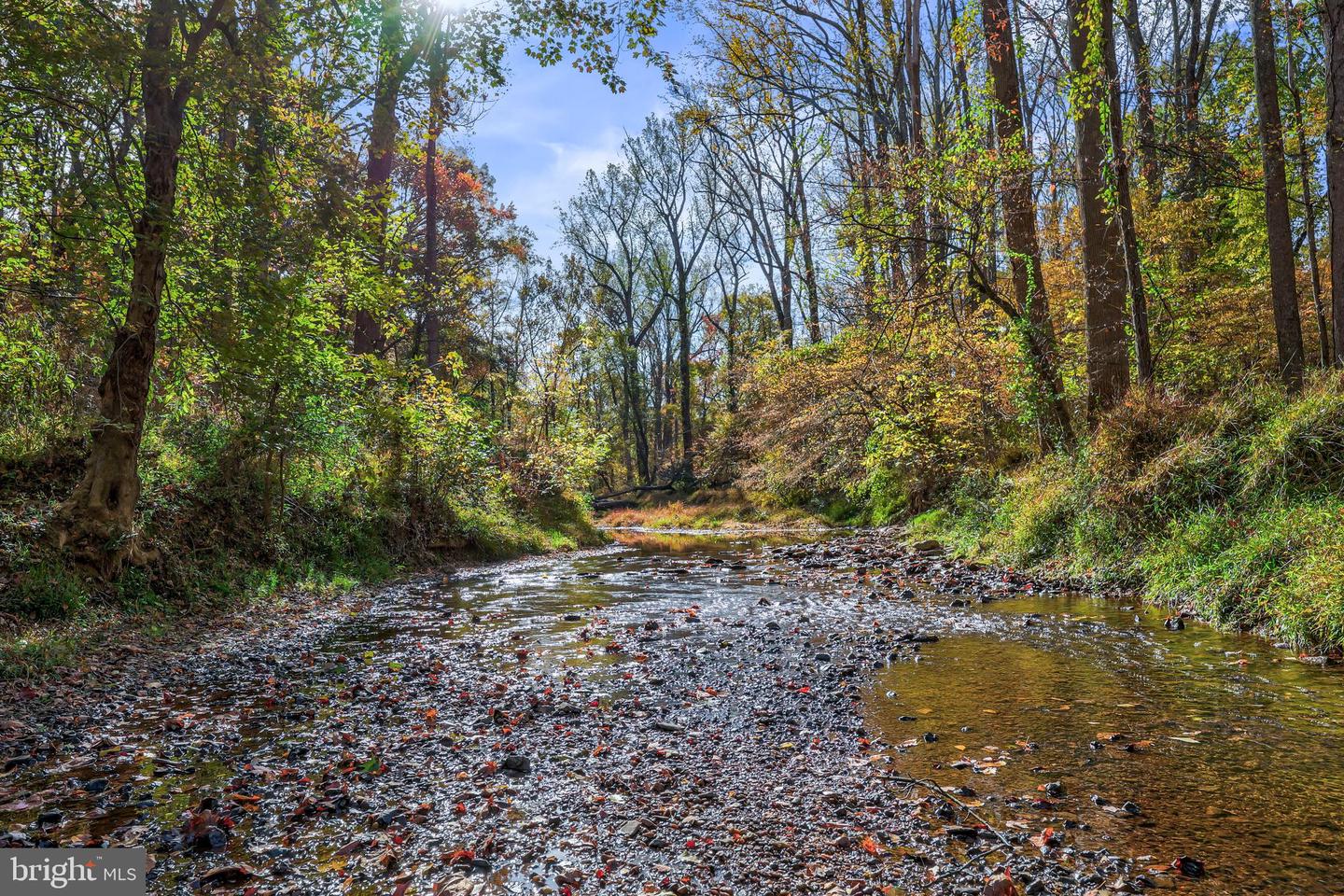 10450 HUNTER VIEW RD, VIENNA, Virginia 22181, 4 Bedrooms Bedrooms, ,3 BathroomsBathrooms,Residential,For sale,10450 HUNTER VIEW RD,VAFX2272954 MLS # VAFX2272954 10450 HUNTER VIEW RD, VIENNA, Virginia 22181, 4 Bedrooms Bedrooms, ,3 BathroomsBathrooms,Residential,For sale,10450 HUNTER VIEW RD,VAFX2272954 MLS # VAFX2272954
