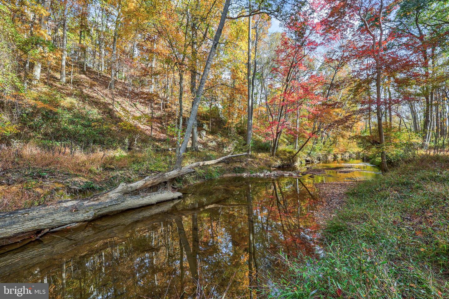 10450 HUNTER VIEW RD, VIENNA, Virginia 22181, 4 Bedrooms Bedrooms, ,3 BathroomsBathrooms,Residential,For sale,10450 HUNTER VIEW RD,VAFX2272954 MLS # VAFX2272954 10450 HUNTER VIEW RD, VIENNA, Virginia 22181, 4 Bedrooms Bedrooms, ,3 BathroomsBathrooms,Residential,For sale,10450 HUNTER VIEW RD,VAFX2272954 MLS # VAFX2272954