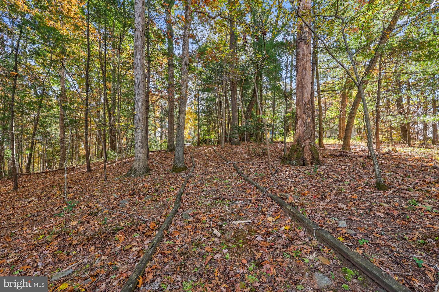 10450 HUNTER VIEW RD, VIENNA, Virginia 22181, 4 Bedrooms Bedrooms, ,3 BathroomsBathrooms,Residential,For sale,10450 HUNTER VIEW RD,VAFX2272954 MLS # VAFX2272954 10450 HUNTER VIEW RD, VIENNA, Virginia 22181, 4 Bedrooms Bedrooms, ,3 BathroomsBathrooms,Residential,For sale,10450 HUNTER VIEW RD,VAFX2272954 MLS # VAFX2272954