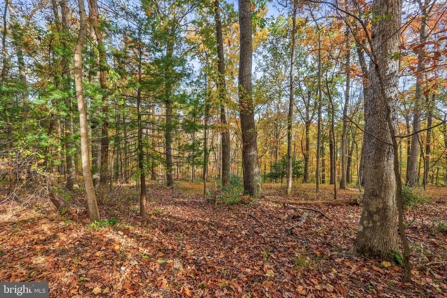 10450 HUNTER VIEW RD, VIENNA, Virginia 22181, 4 Bedrooms Bedrooms, ,3 BathroomsBathrooms,Residential,For sale,10450 HUNTER VIEW RD,VAFX2272954 MLS # VAFX2272954 10450 HUNTER VIEW RD, VIENNA, Virginia 22181, 4 Bedrooms Bedrooms, ,3 BathroomsBathrooms,Residential,For sale,10450 HUNTER VIEW RD,VAFX2272954 MLS # VAFX2272954