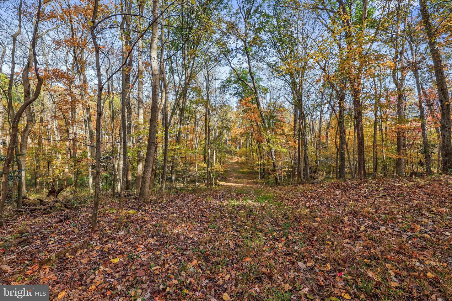 10450 HUNTER VIEW RD, VIENNA, Virginia 22181, 4 Bedrooms Bedrooms, ,3 BathroomsBathrooms,Residential,For sale,10450 HUNTER VIEW RD,VAFX2272954 MLS # VAFX2272954 10450 HUNTER VIEW RD, VIENNA, Virginia 22181, 4 Bedrooms Bedrooms, ,3 BathroomsBathrooms,Residential,For sale,10450 HUNTER VIEW RD,VAFX2272954 MLS # VAFX2272954