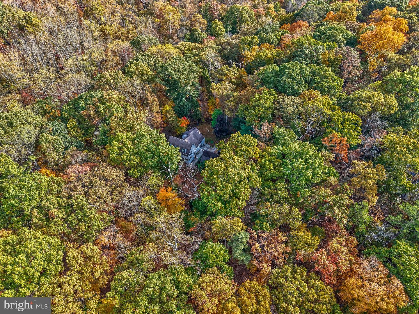 10450 HUNTER VIEW RD, VIENNA, Virginia 22181, 4 Bedrooms Bedrooms, ,3 BathroomsBathrooms,Residential,For sale,10450 HUNTER VIEW RD,VAFX2272954 MLS # VAFX2272954 10450 HUNTER VIEW RD, VIENNA, Virginia 22181, 4 Bedrooms Bedrooms, ,3 BathroomsBathrooms,Residential,For sale,10450 HUNTER VIEW RD,VAFX2272954 MLS # VAFX2272954