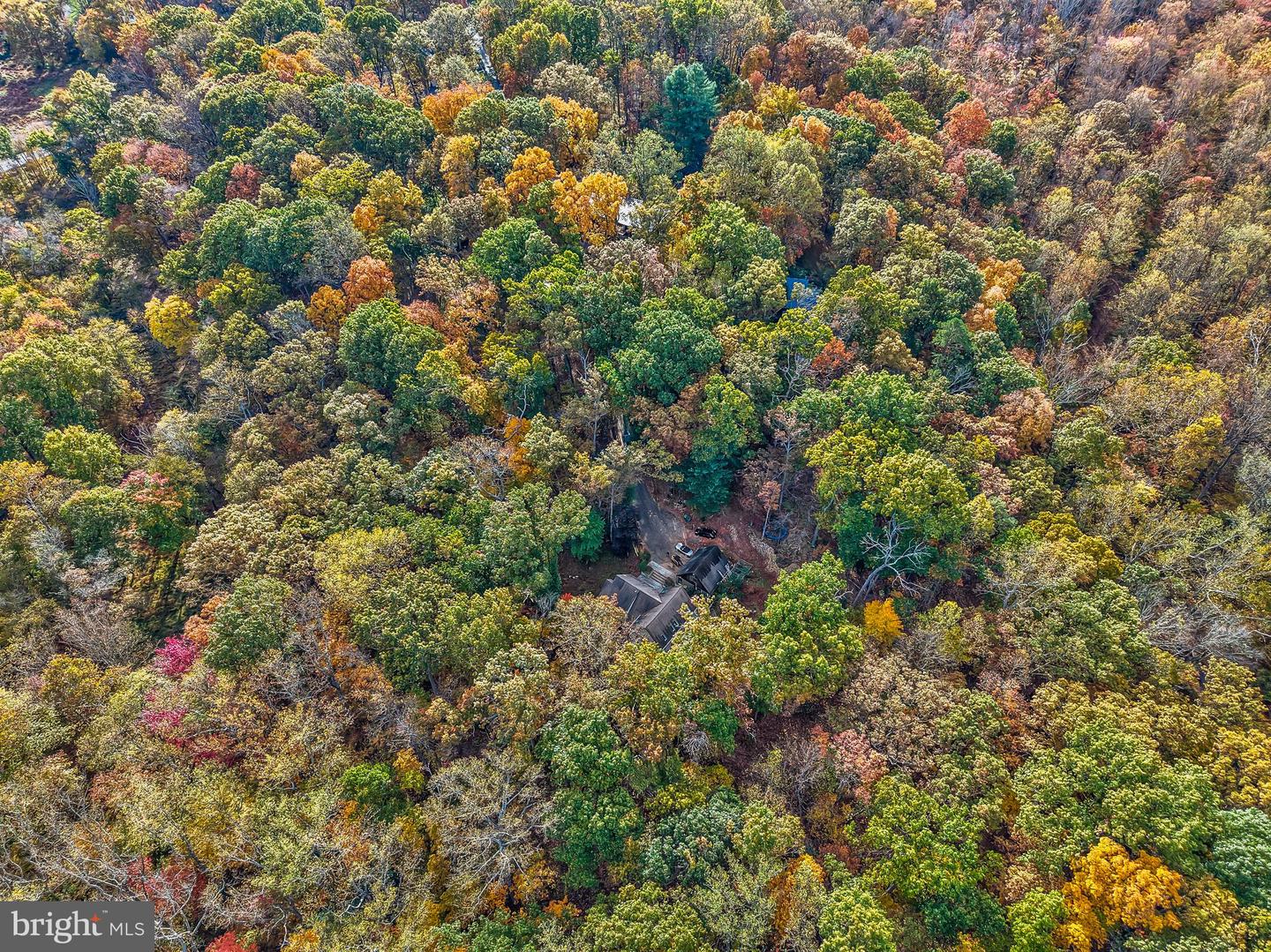 10450 HUNTER VIEW RD, VIENNA, Virginia 22181, 4 Bedrooms Bedrooms, ,3 BathroomsBathrooms,Residential,For sale,10450 HUNTER VIEW RD,VAFX2272954 MLS # VAFX2272954 10450 HUNTER VIEW RD, VIENNA, Virginia 22181, 4 Bedrooms Bedrooms, ,3 BathroomsBathrooms,Residential,For sale,10450 HUNTER VIEW RD,VAFX2272954 MLS # VAFX2272954