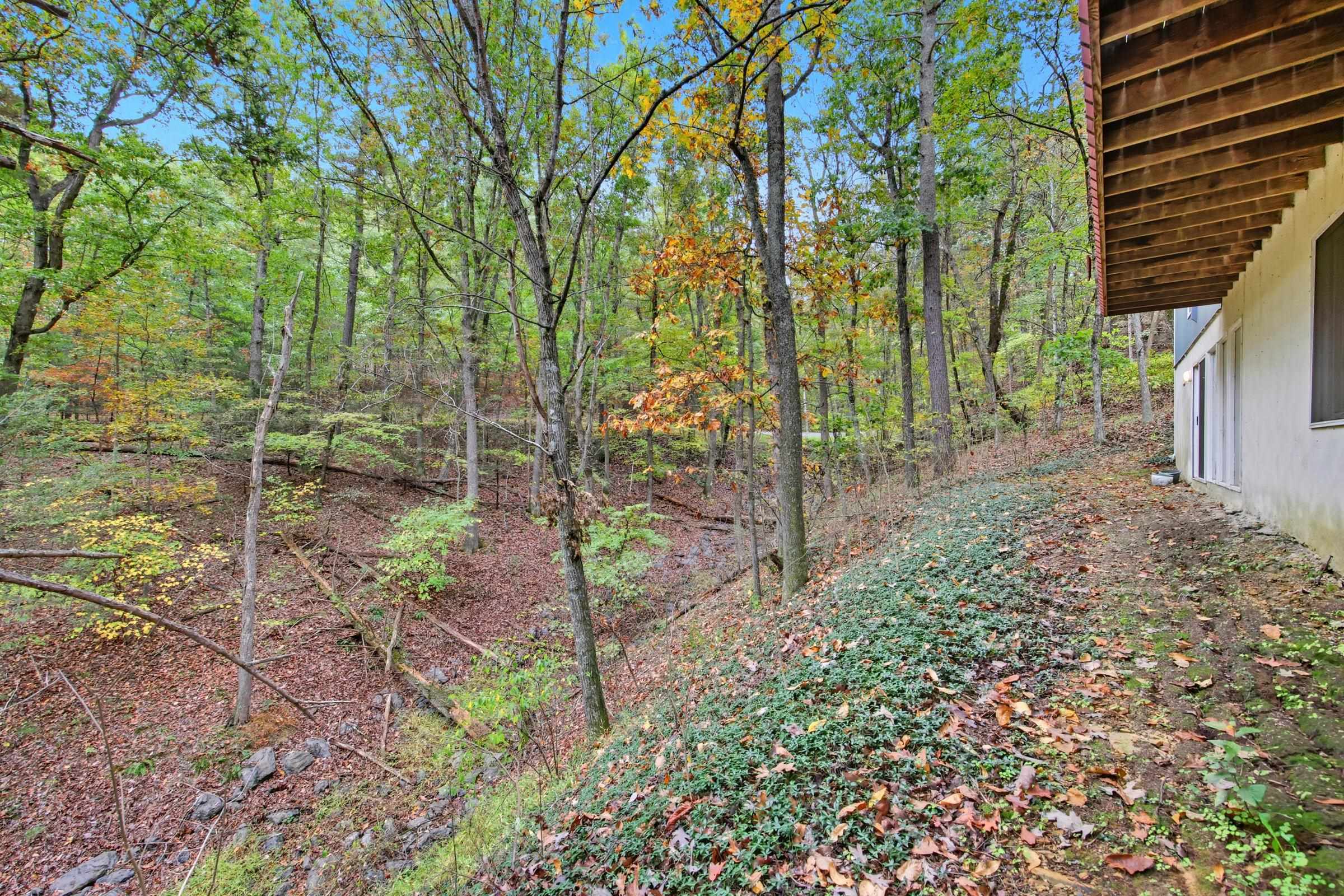 16 SPRUCE HOLLOW RD, BASYE, Virginia 22810, 3 Bedrooms Bedrooms, ,2 BathroomsBathrooms,Residential,16 SPRUCE HOLLOW RD,670088 MLS # 670088