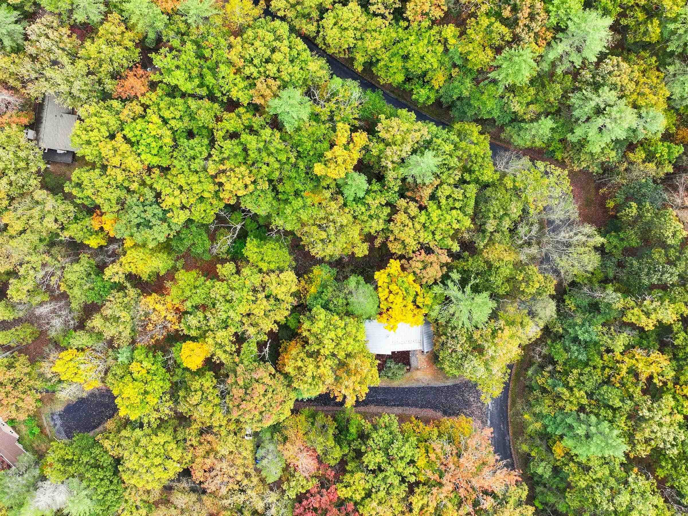 16 SPRUCE HOLLOW RD, BASYE, Virginia 22810, 3 Bedrooms Bedrooms, ,2 BathroomsBathrooms,Residential,16 SPRUCE HOLLOW RD,670088 MLS # 670088