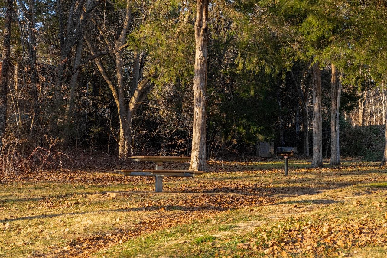 987 RIVERSIDE DR, LURAY, Virginia 22835, 3 Bedrooms Bedrooms, ,2 BathroomsBathrooms,Residential,987 RIVERSIDE DR,671441 MLS # 671441