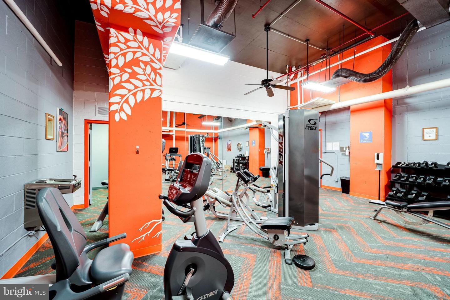 1225 MARTHA CUSTIS DR #203, ALEXANDRIA, Virginia 22302, 1 Bedroom Bedrooms, ,1 BathroomBathrooms,Residential,For sale,1225 MARTHA CUSTIS DR #203,VAAX2050714 MLS # VAAX2050714