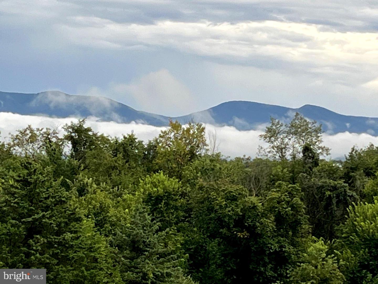 1050 ALMOND DR, LURAY, Virginia 22835, 5 Bedrooms Bedrooms, ,4 BathroomsBathrooms,Residential,For sale,1050 ALMOND DR,VAPA2005574 MLS # VAPA2005574 1050 ALMOND DR, LURAY, Virginia 22835, 5 Bedrooms Bedrooms, ,4 BathroomsBathrooms,Residential,For sale,1050 ALMOND DR,VAPA2005574 MLS # VAPA2005574