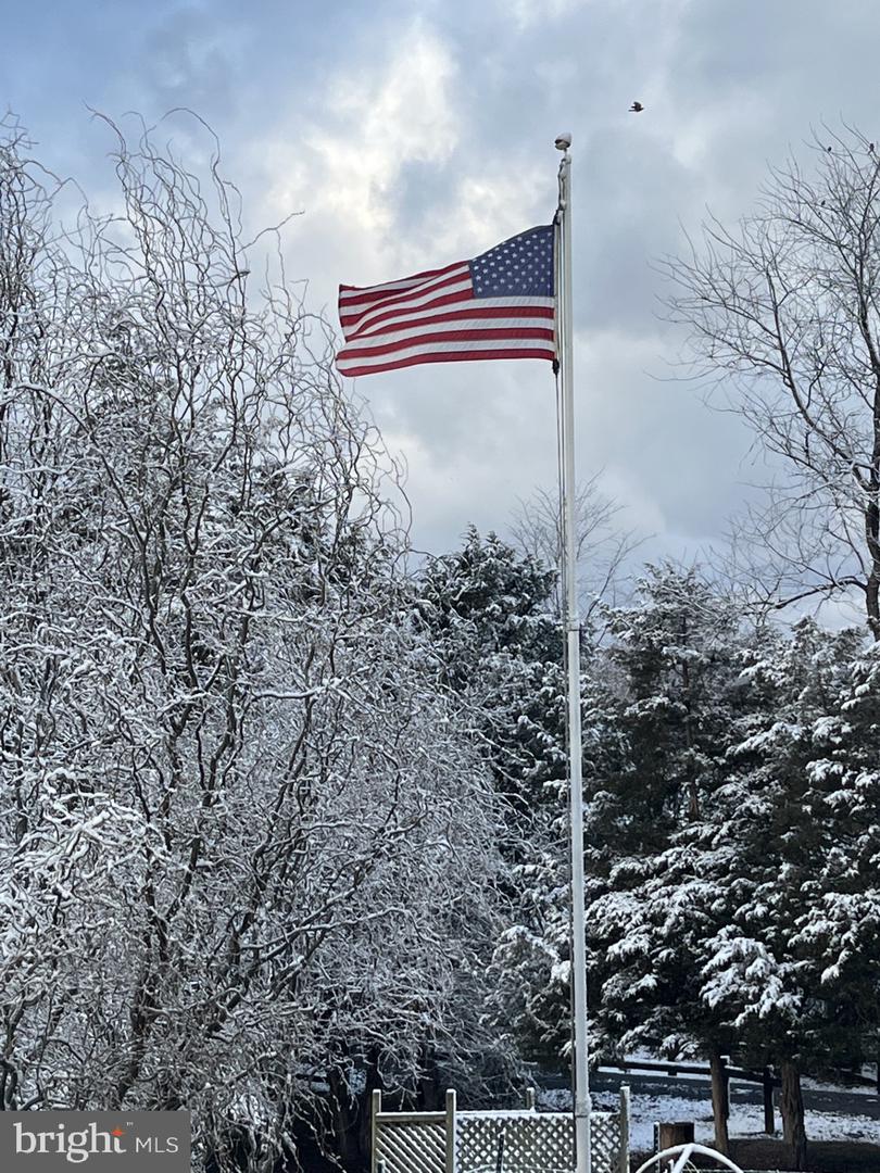 1050 ALMOND DR, LURAY, Virginia 22835, 5 Bedrooms Bedrooms, ,4 BathroomsBathrooms,Residential,For sale,1050 ALMOND DR,VAPA2005574 MLS # VAPA2005574 1050 ALMOND DR, LURAY, Virginia 22835, 5 Bedrooms Bedrooms, ,4 BathroomsBathrooms,Residential,For sale,1050 ALMOND DR,VAPA2005574 MLS # VAPA2005574