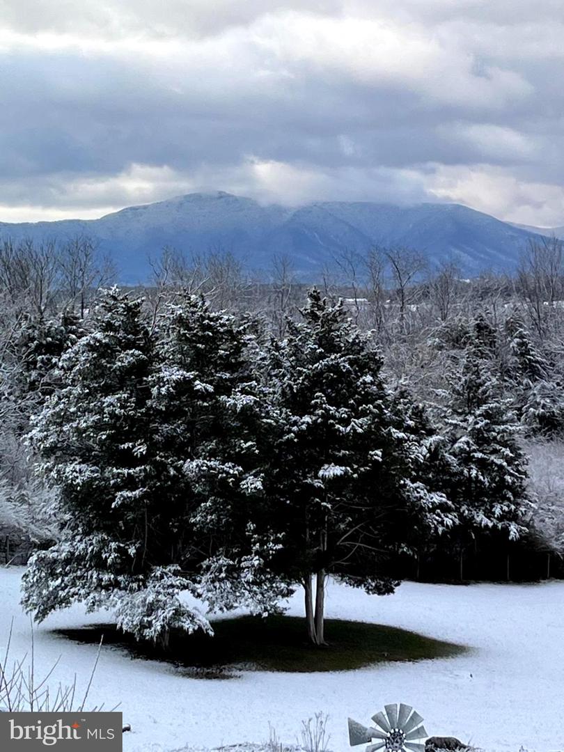 1050 ALMOND DR, LURAY, Virginia 22835, 5 Bedrooms Bedrooms, ,4 BathroomsBathrooms,Residential,For sale,1050 ALMOND DR,VAPA2005574 MLS # VAPA2005574 1050 ALMOND DR, LURAY, Virginia 22835, 5 Bedrooms Bedrooms, ,4 BathroomsBathrooms,Residential,For sale,1050 ALMOND DR,VAPA2005574 MLS # VAPA2005574