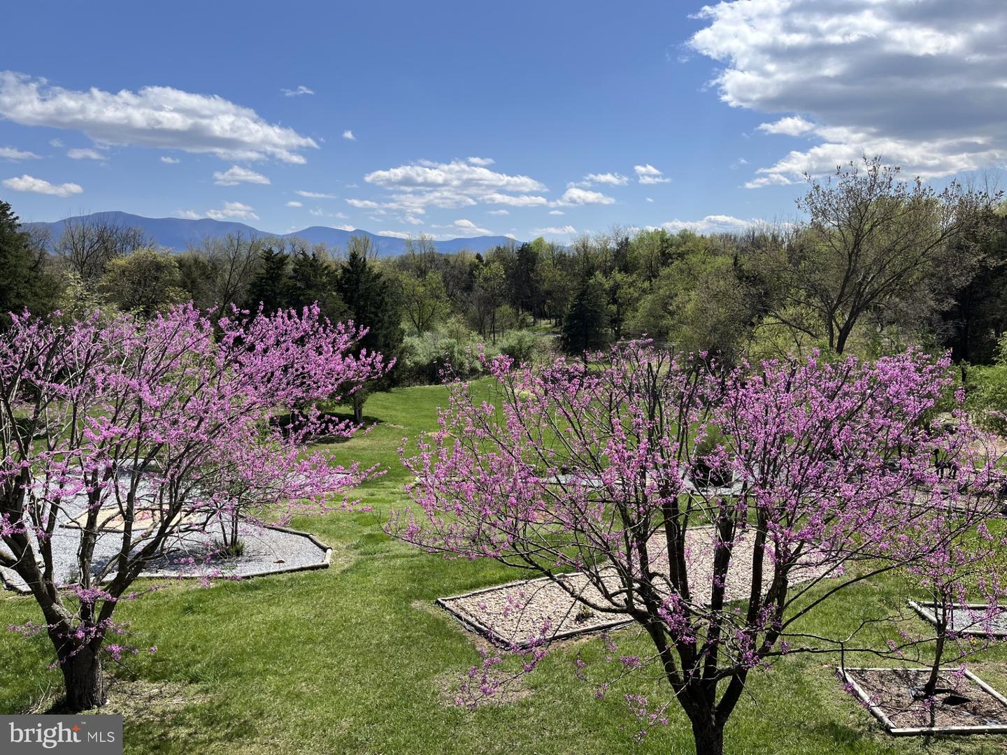 1050 ALMOND DR, LURAY, Virginia 22835, 5 Bedrooms Bedrooms, ,4 BathroomsBathrooms,Residential,For sale,1050 ALMOND DR,VAPA2005574 MLS # VAPA2005574 1050 ALMOND DR, LURAY, Virginia 22835, 5 Bedrooms Bedrooms, ,4 BathroomsBathrooms,Residential,For sale,1050 ALMOND DR,VAPA2005574 MLS # VAPA2005574