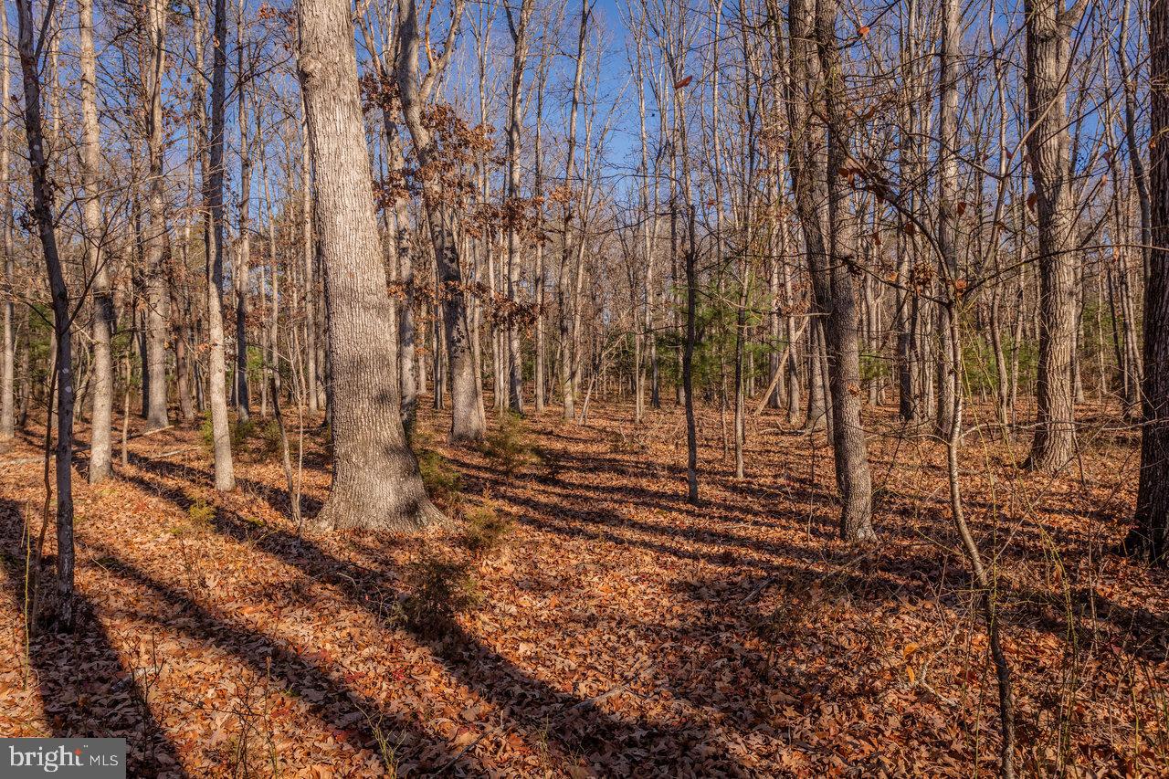 987 RIVERSIDE DR, LURAY, Virginia 22835, 3 Bedrooms Bedrooms, ,2 BathroomsBathrooms,Residential,For sale,987 RIVERSIDE DR,VAPA2005586 MLS # VAPA2005586